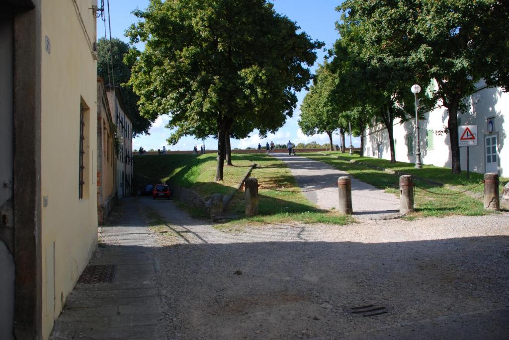 Agostino Fronte Mura – Lucca